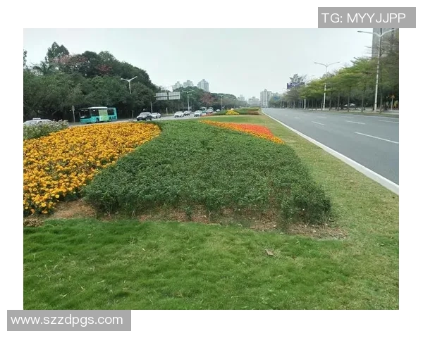 赛后分析广州乒乓球队与杭州乒乓球队的战术意识与表现对比 赛后分析广州乒乓球队与杭州乒乓球队的战术意识与表现对比