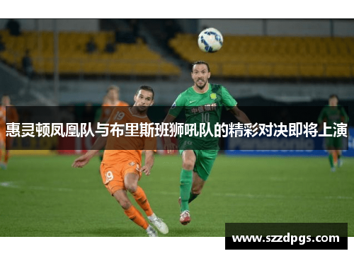 惠灵顿凤凰队与布里斯班狮吼队的精彩对决即将上演